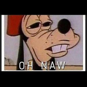 Meet your Posher, Gerald